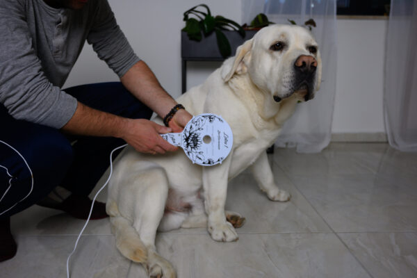 BioHarmonizér Lotos 1